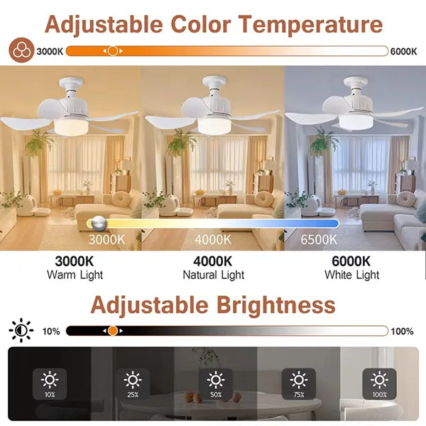 Fanooza Ceiling Fans With Lights AU