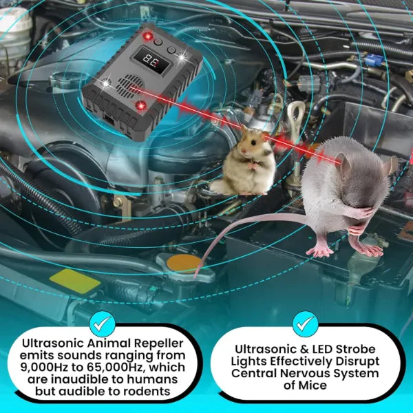 RepellCar Mouse Repellent For Cars US03