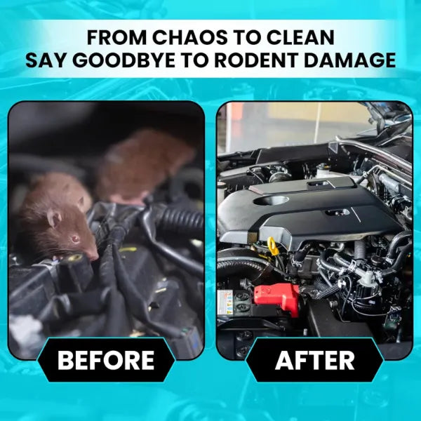 RepellCar Mouse Repellent For Cars US03