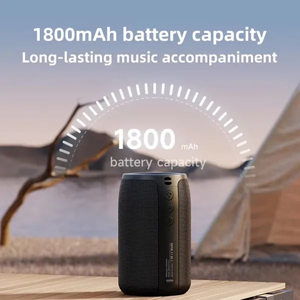 SoundGo Bluetooth Speakers US03