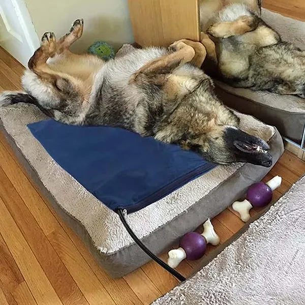 Viranor Heated Pet Beds