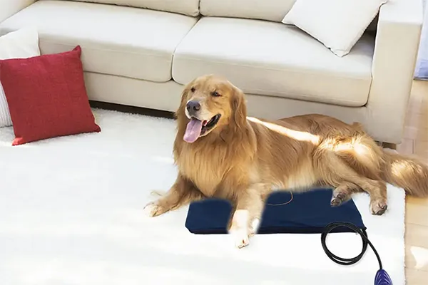 Viranor Heated Pet Beds