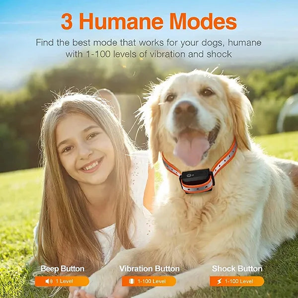 YoriPet Dog Training Collar