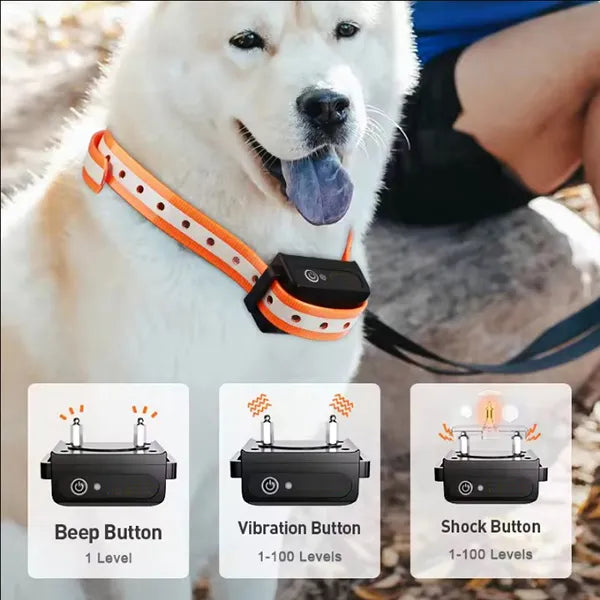 YoriPet Dog Training Collar