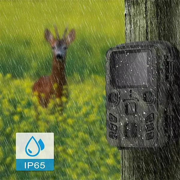 WifSifa Wifi Trail Cameras US