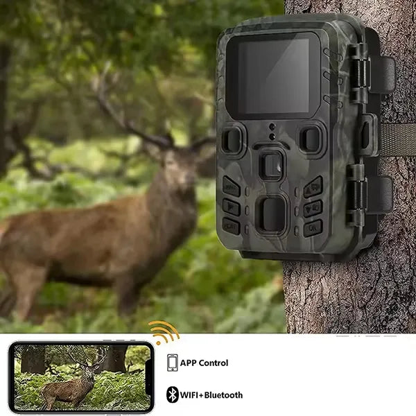 WifSifa Wifi Trail Cameras US
